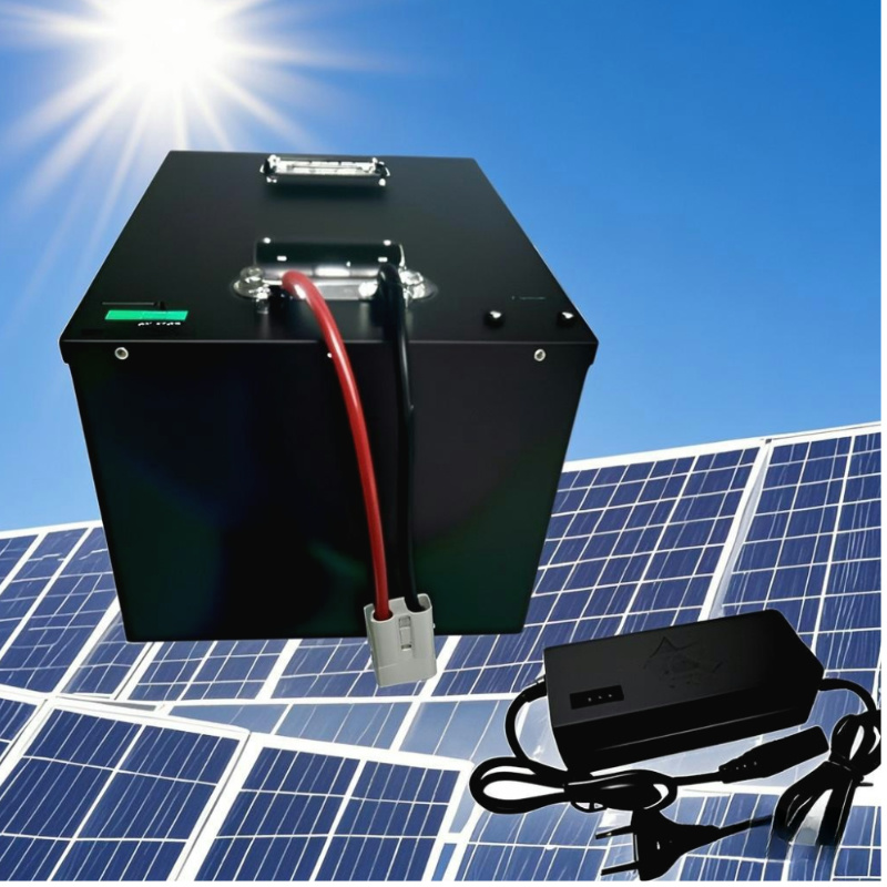 Аккумулятор LiFePO4 72В 100Ач  – обзор и цена 72V 40Ah Lifepo4 Battery Pack
