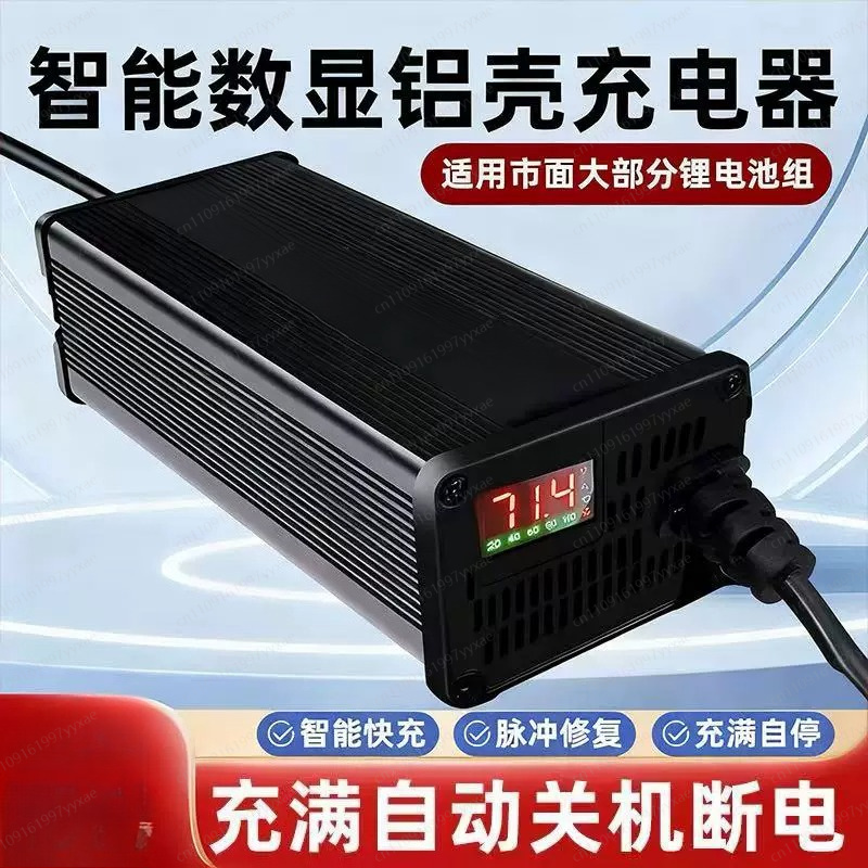 Зарядное устройство Smart LiFe – обзор и цена 72V 15A Fast Charger