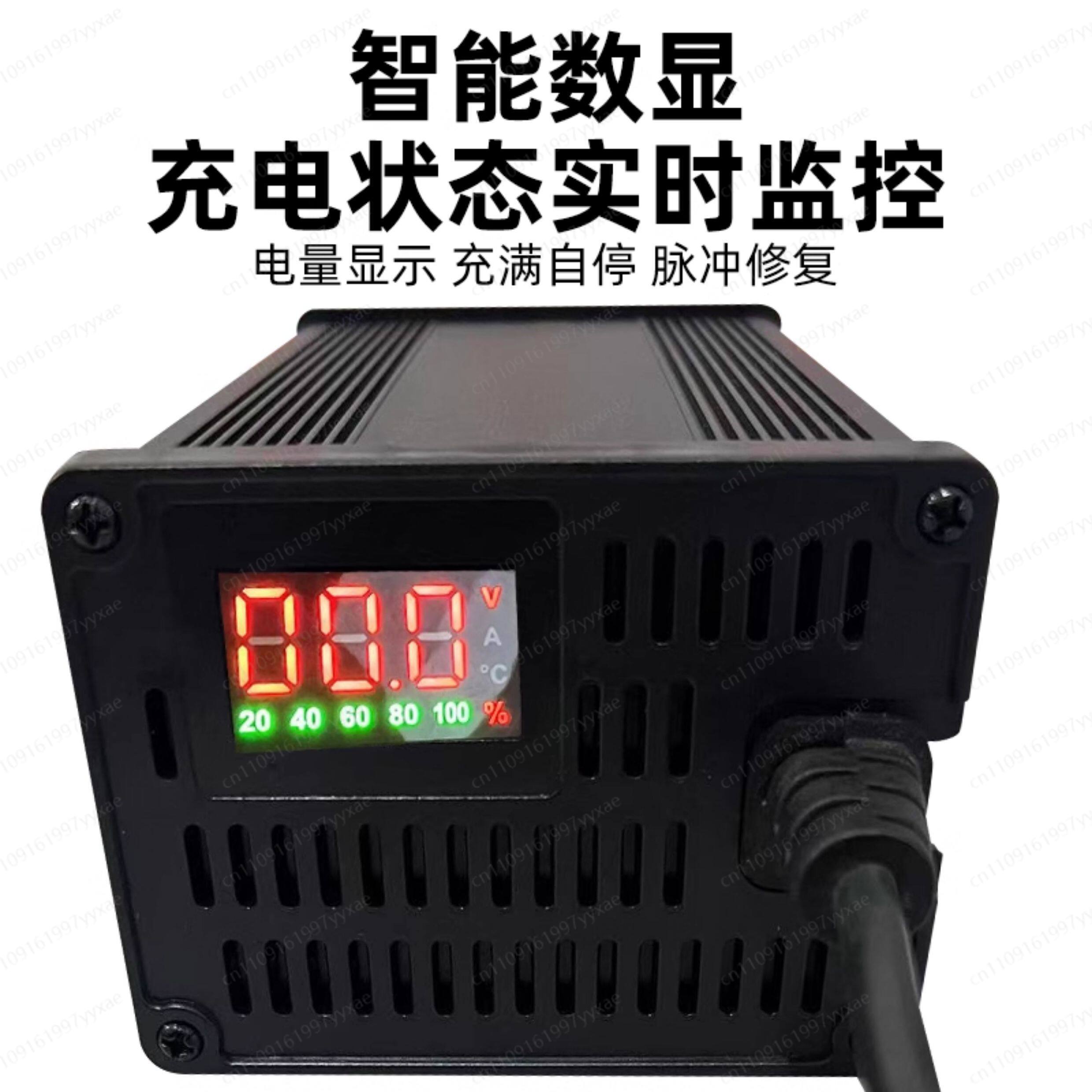 Зарядное устройство Smart LiFe – обзор и цена 72V 15A Fast Charger